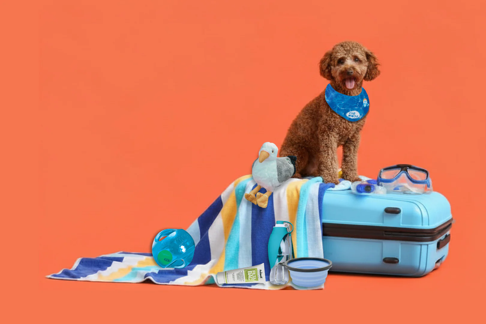 Style That Saves Pet Lives